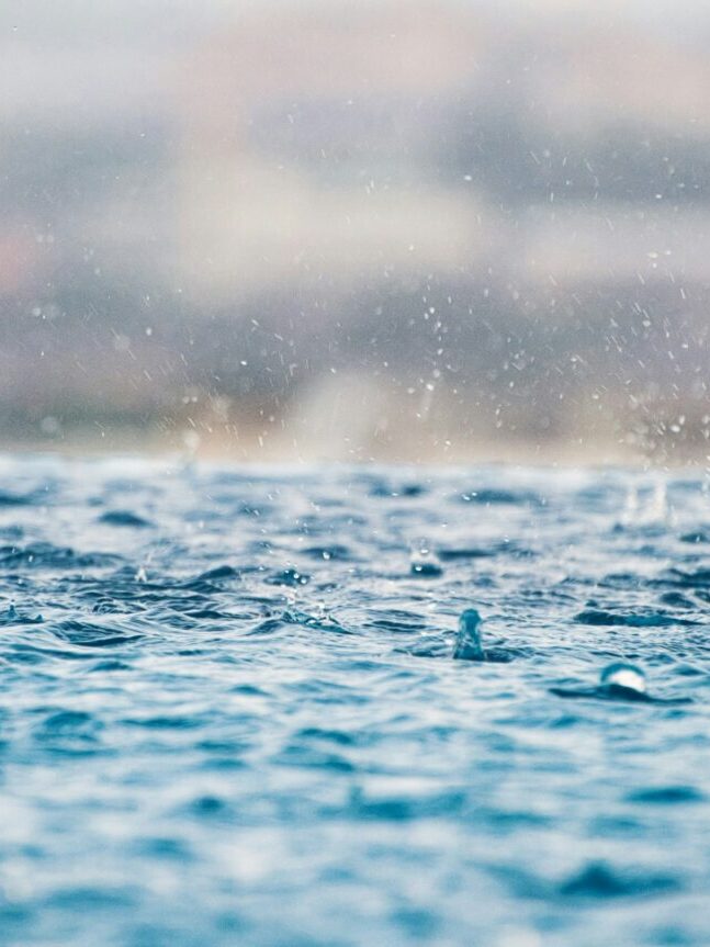 max-22x7fxFpl_8-unsplash