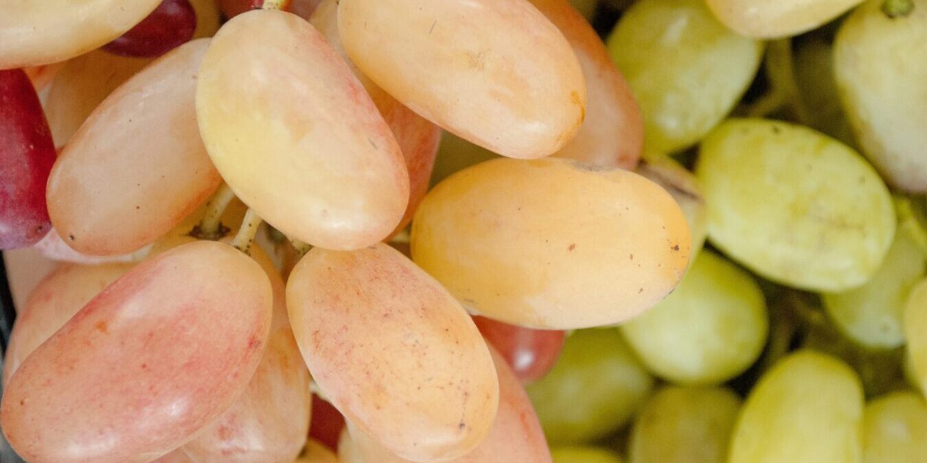 kateryna-hliznitsova–WRi_NfhMIo-unsplash